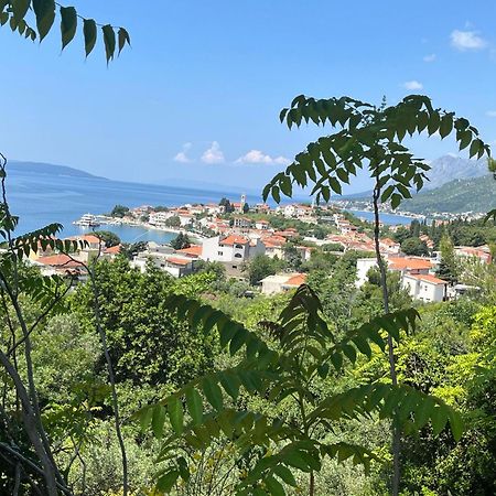 Apartment Davor Gradac  Exterior photo