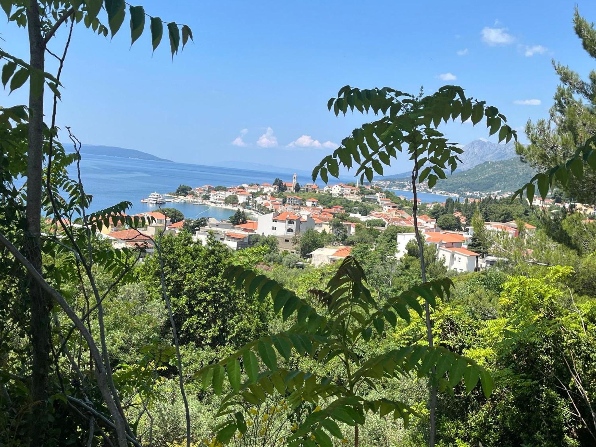 Apartment Davor Gradac  Exterior photo