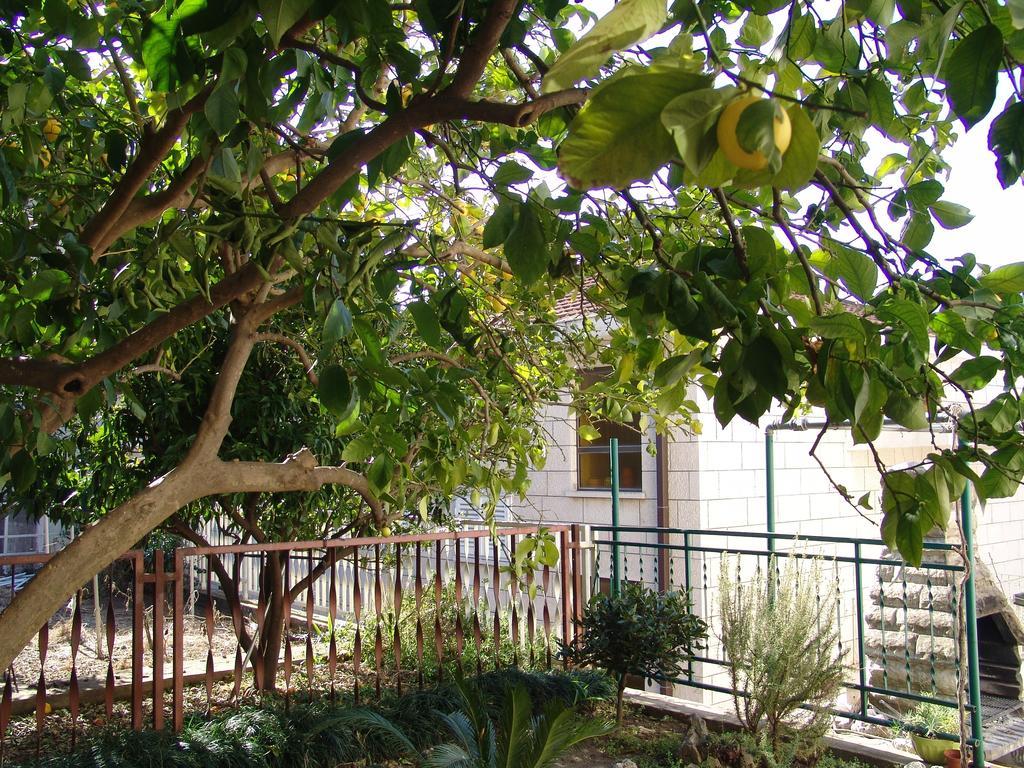 Apartment Davor Gradac  Room photo